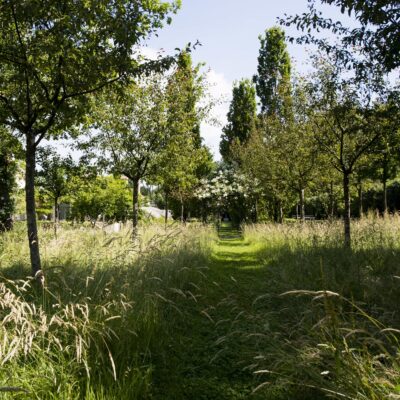 Jacquet SA - aménagement naturel - jardin privé (37)