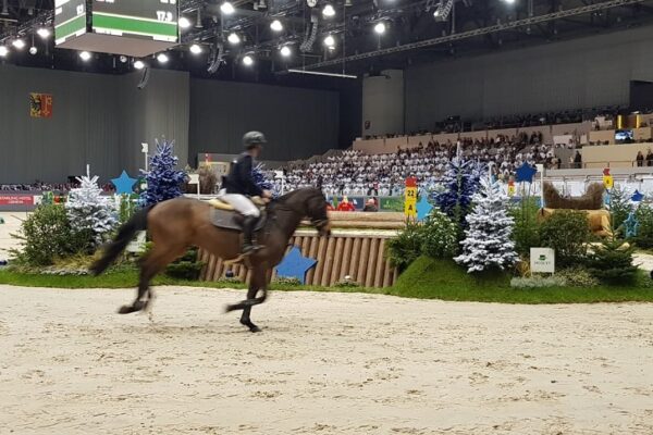 Jacquet SA - CHI EQUESTRE