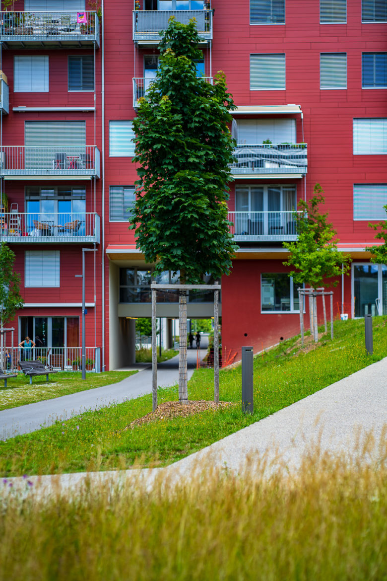 Jacquet SA - Ecoquartier Les Vergers - Meyrin