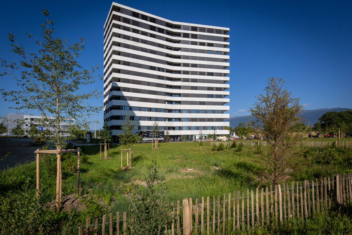 Jacquet SA - Ecoquartier Les Vergers - Meyrin