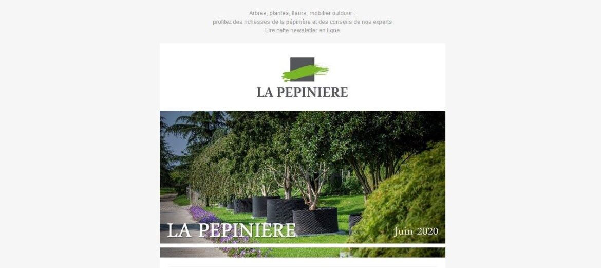 Jacquet SA - Newsletter Juin 2020