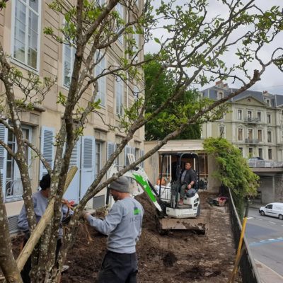 BD Helvetique - jardin privé - magnolia - 11 05 2021 03