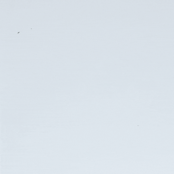 B Corp Certification 2