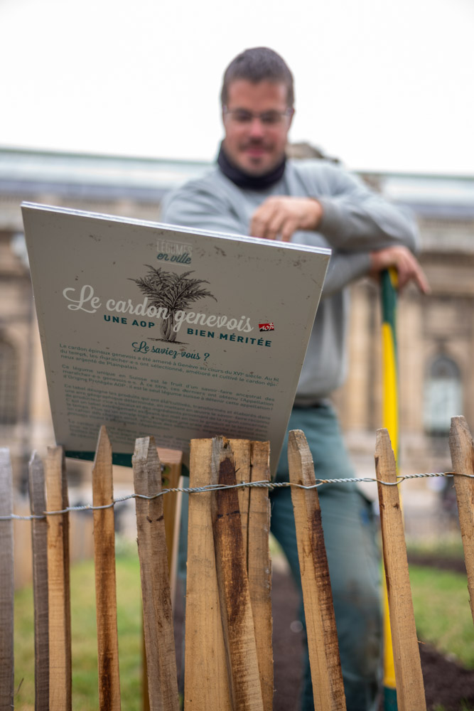 JACQUET SA - Légumes en ville - 2021