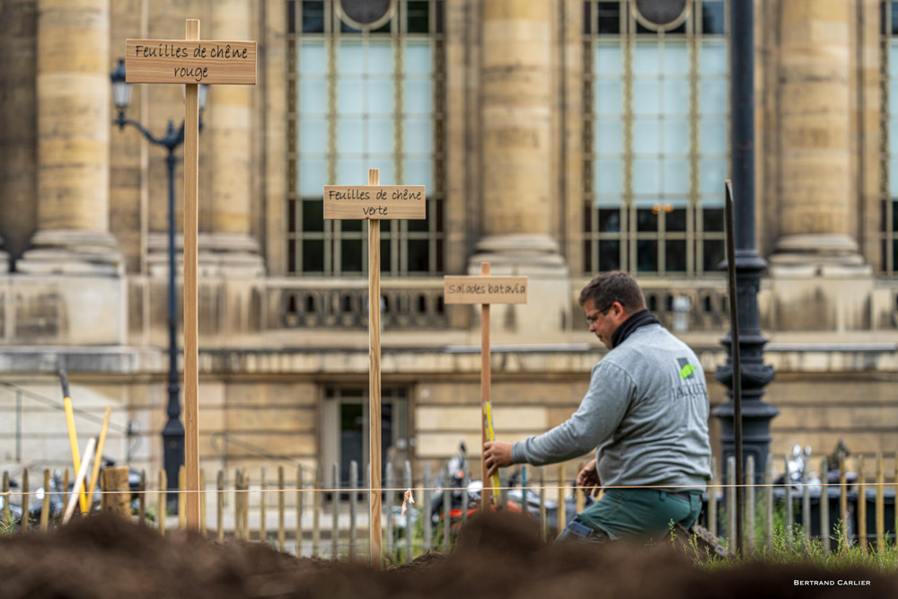 JACQUET SA - Légumes en ville - 2021