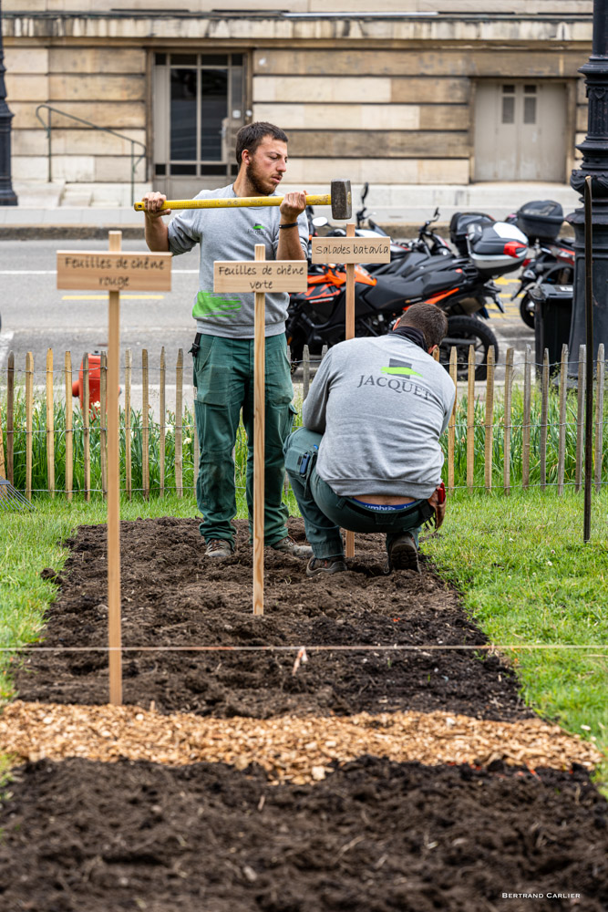 JACQUET SA - Légumes en ville - 2021