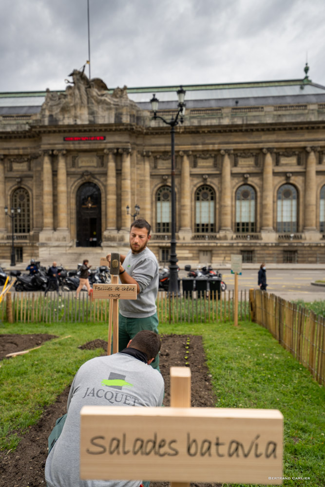 JACQUET SA - Légumes en ville - 2021