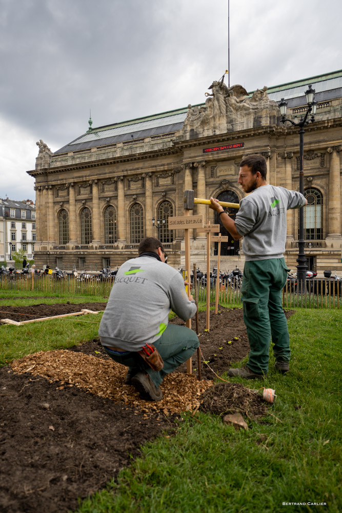 JACQUET SA - Légumes en ville - 2021