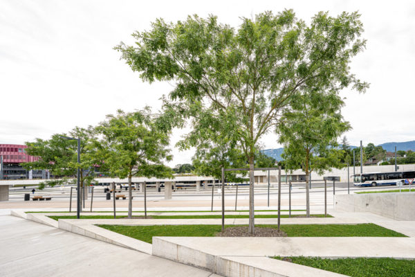 JACQUET SA - CEVA Bachet - 2021