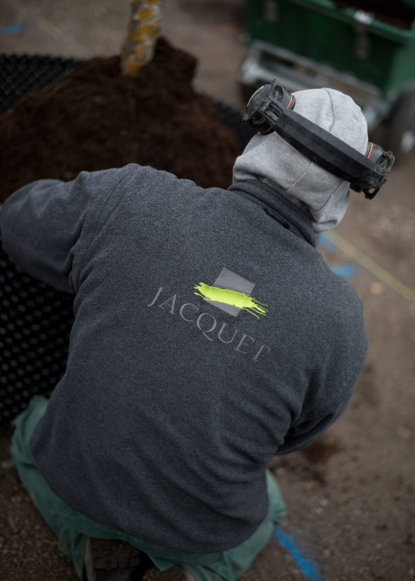 JACQUET SA - Pépinière urbaine - Parc des Franchises Charmilles - 2021