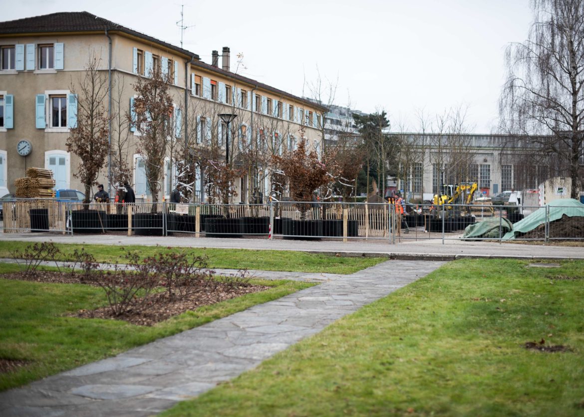 JACQUET SA - Pépinière urbaine - Parc des Franchises Charmilles - 2021