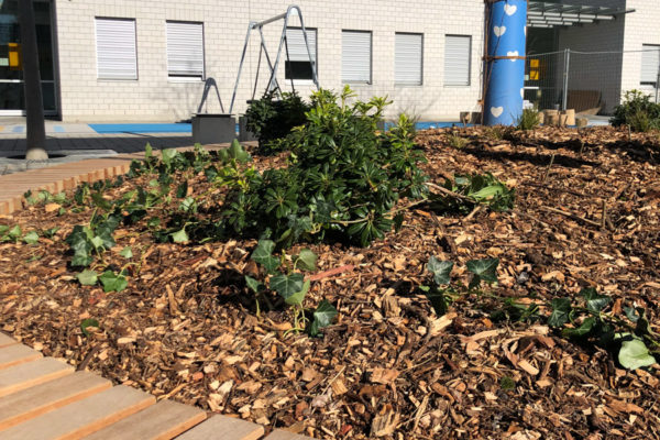 JACQUET SA - Aménagement de la cour d'école de Bois-des-Arts Thônex - 2022