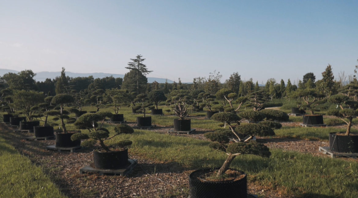 JACQUET - Des Hommes et des Paysages - Jardin Privé - 2021