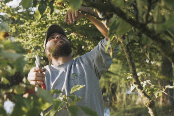 JACQUET - Des Hommes et des Paysages - Jardin Privé - 2021