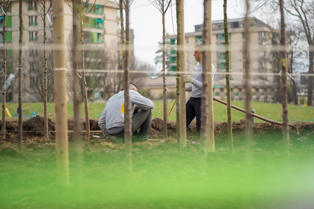 JACQUET - Pépinière urbaine - Parc André-Chavanne - 2022