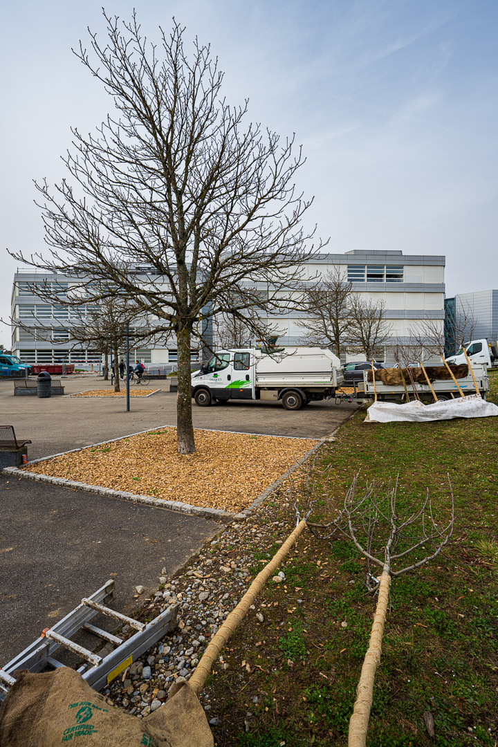 JACQUET - Pépinière urbaine - Parc André-Chavanne - 2022