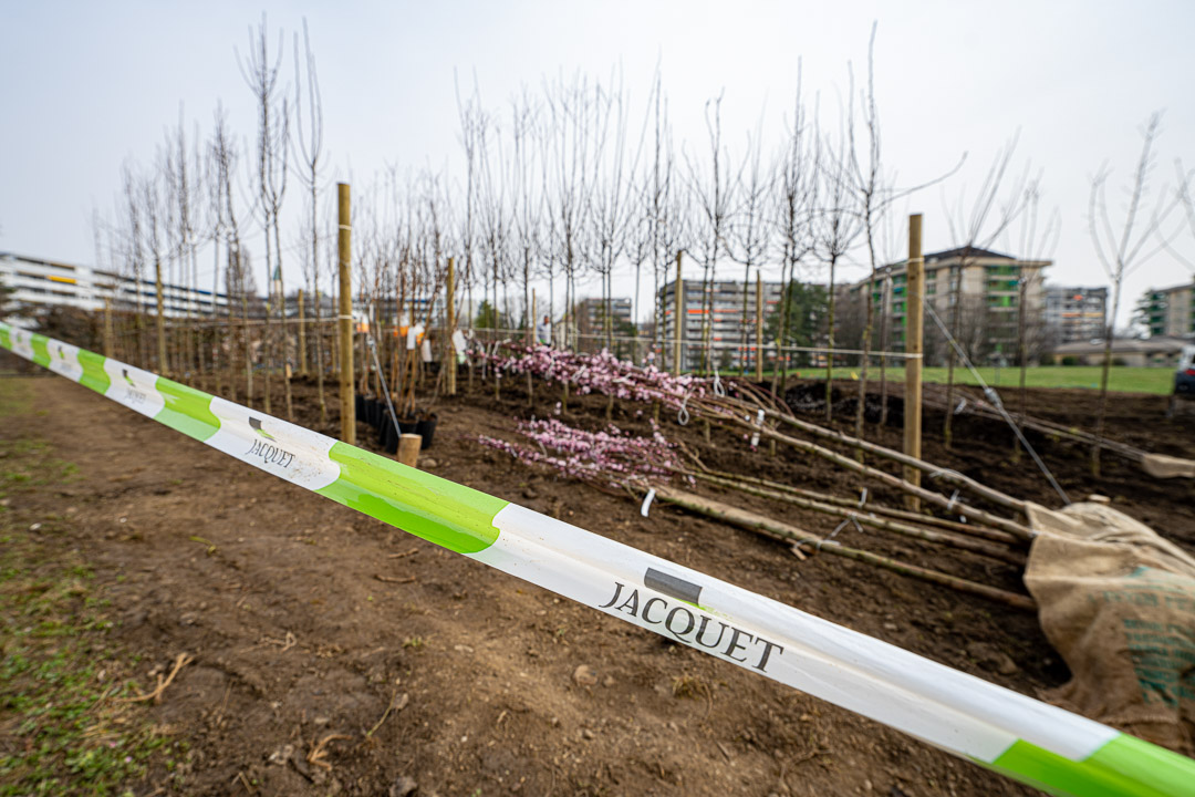 JACQUET - Pépinière urbaine - Parc André-Chavanne - 2022