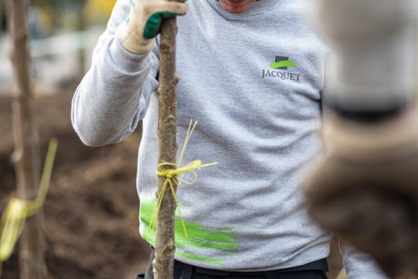 2022 - Jacquet SA - Pépinière urbaine - Contrats de Culture - Parc André-Chavanne