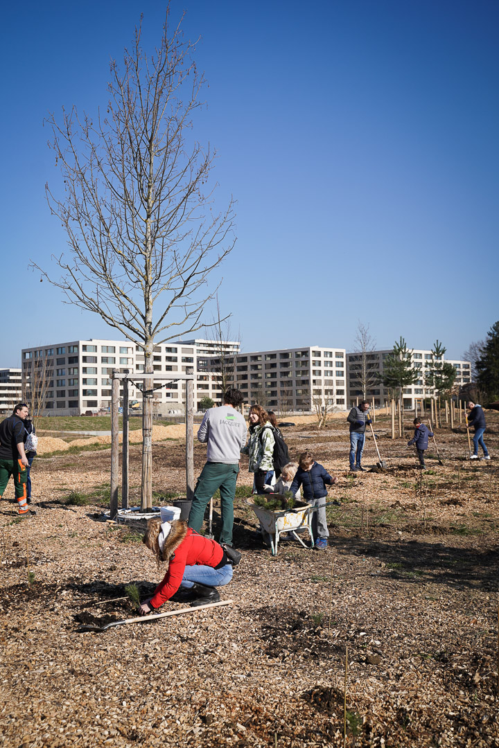 JACQUET SA - Parc forestier participatif Miyawaki - Quartier Belle-Terre - Thônex - 2022