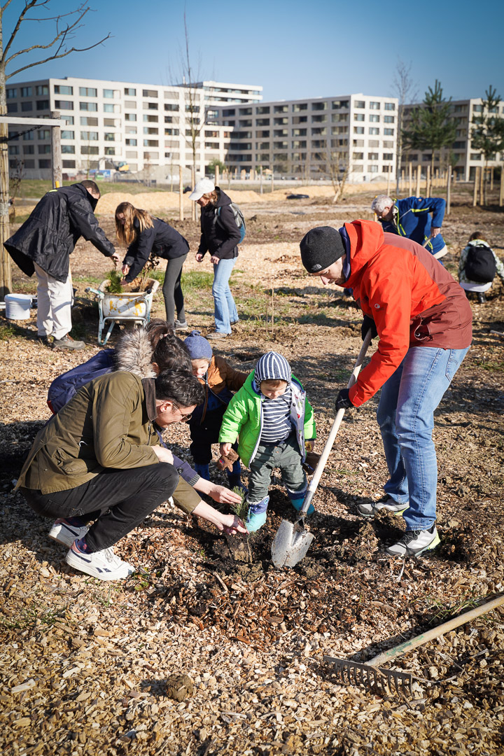 JACQUET SA - Parc forestier participatif Miyawaki - Quartier Belle-Terre - Thônex - 2022