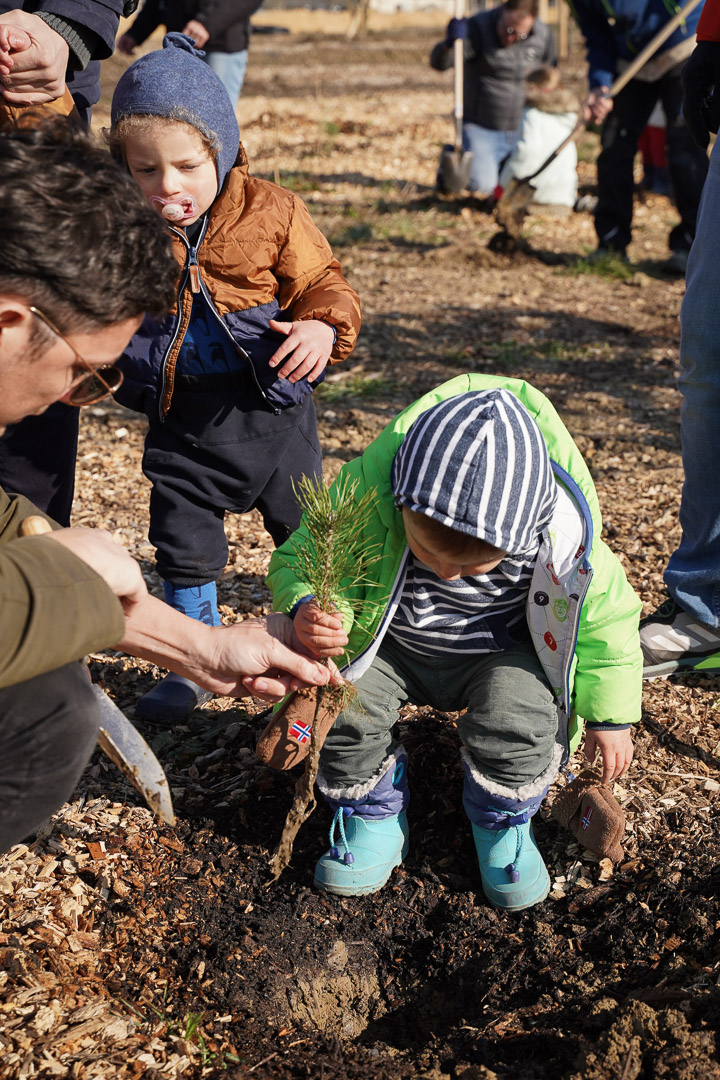 JACQUET SA - Parc forestier participatif Miyawaki - Quartier Belle-Terre - Thônex - 2022