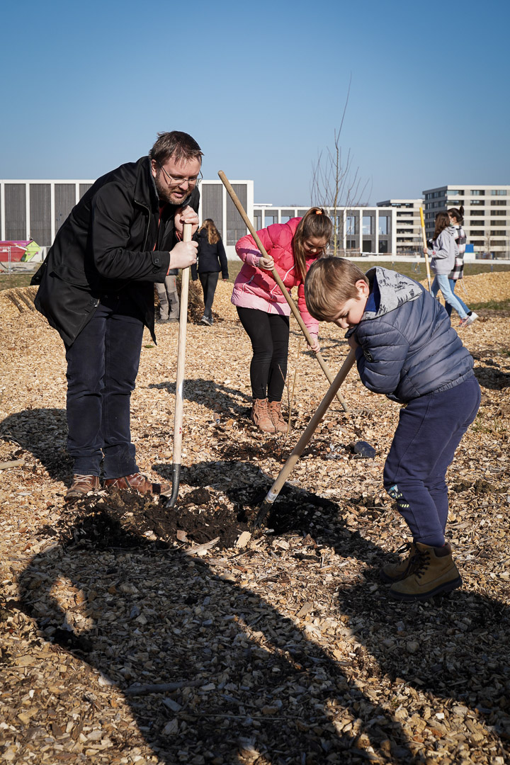 JACQUET SA - Parc forestier participatif Miyawaki - Quartier Belle-Terre - Thônex - 2022