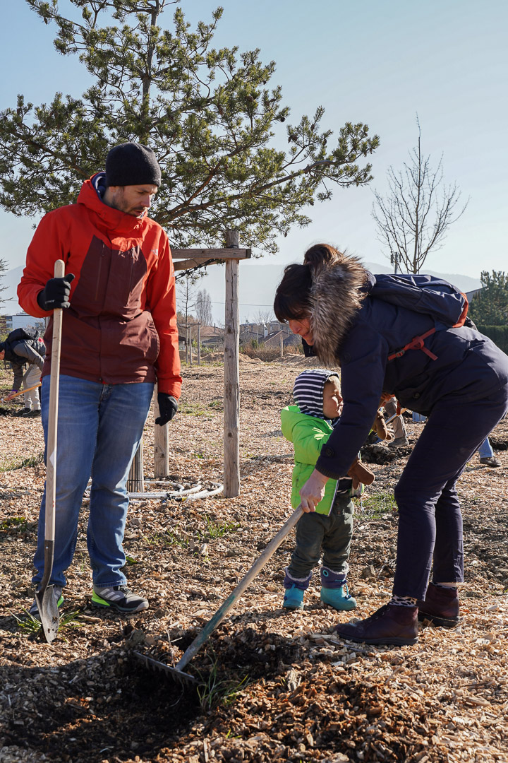 JACQUET SA - Parc forestier participatif Miyawaki - Quartier Belle-Terre - Thônex - 2022