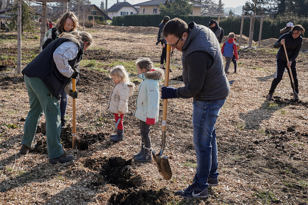 JACQUET SA - Parc forestier participatif Miyawaki - Quartier Belle-Terre - Thônex - 2022