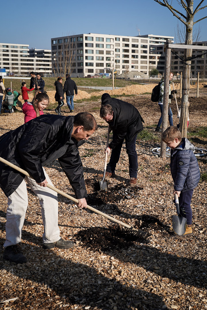 JACQUET SA - Parc forestier participatif Miyawaki - Quartier Belle-Terre - Thônex - 2022