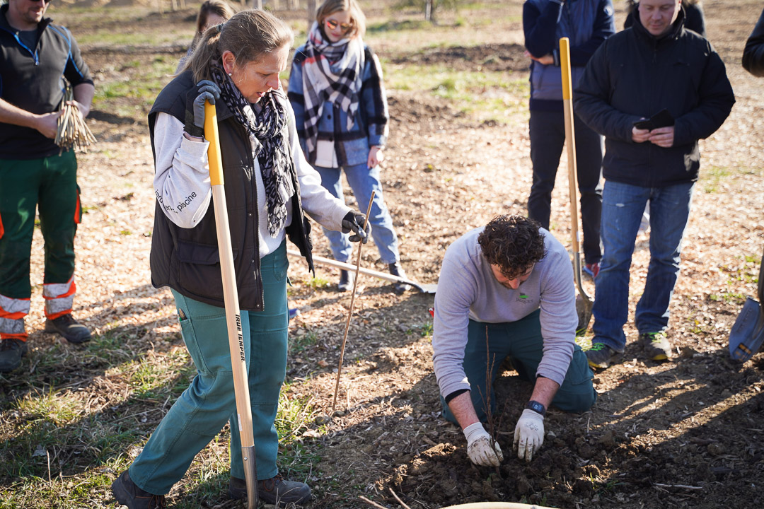 JACQUET SA - Parc forestier participatif Miyawaki - Quartier Belle-Terre - Thônex - 2022