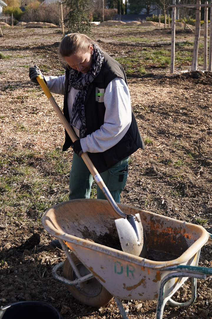 JACQUET SA - Parc forestier participatif Miyawaki - Quartier Belle-Terre - Thônex - 2022