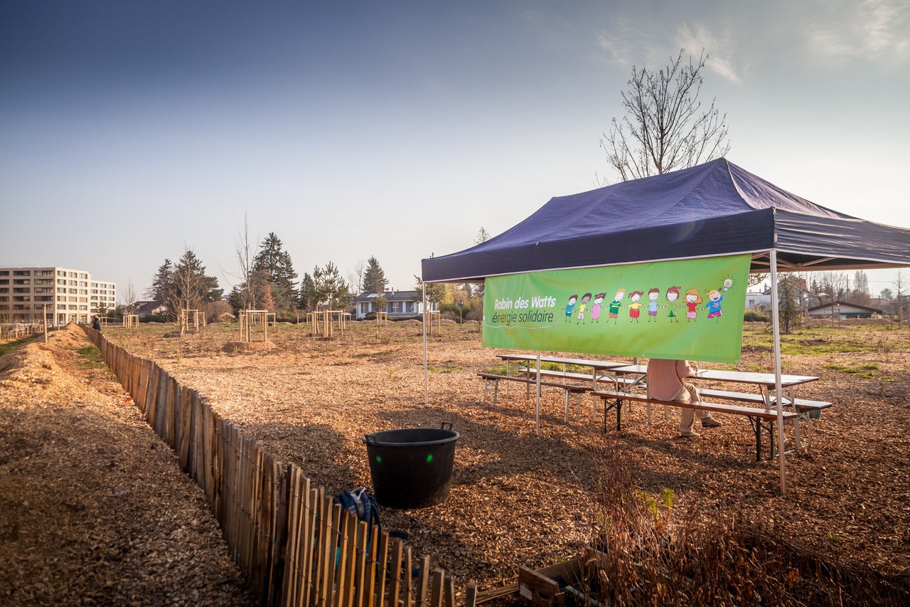 JACQUET SA - Parc forestier participatif Miyawaki - Quartier Belle-Terre - Thônex - 2022