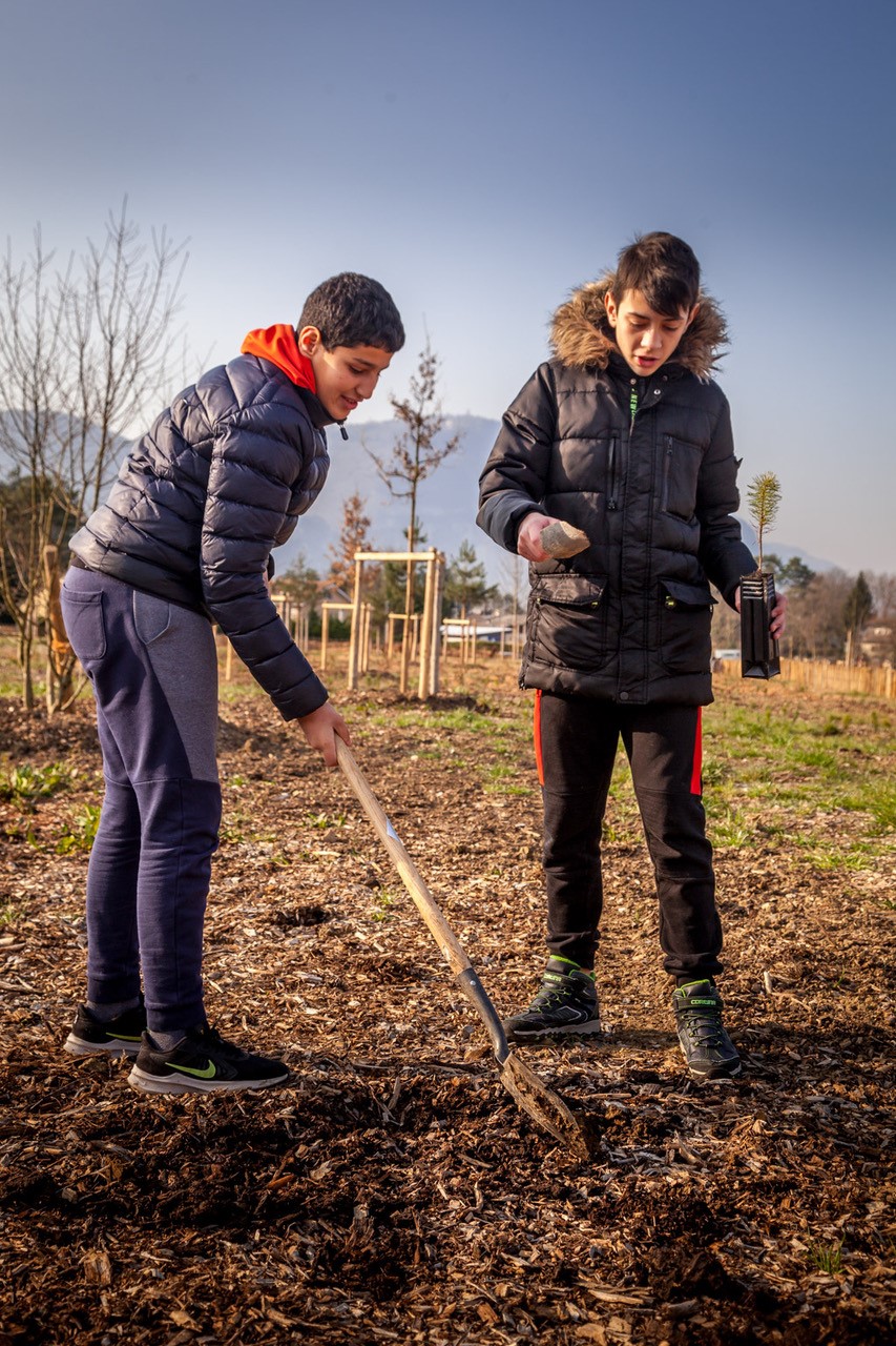 JACQUET SA - Parc forestier participatif Miyawaki - Quartier Belle-Terre - Thônex - 2022