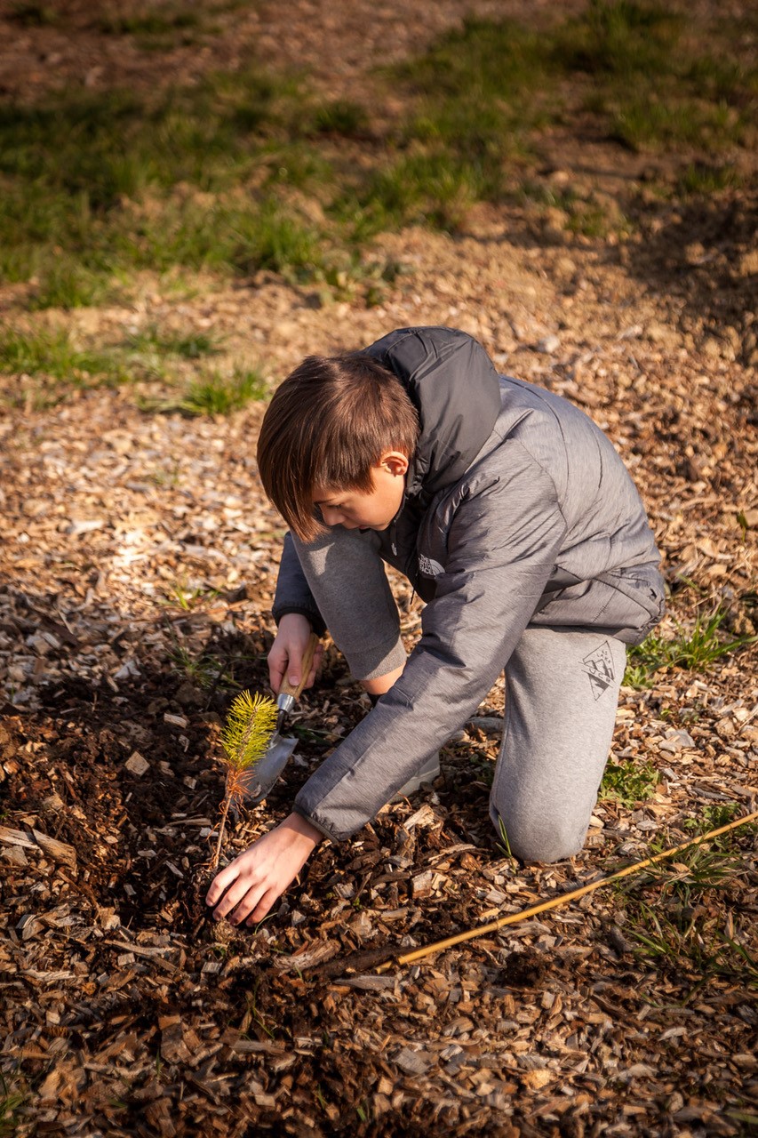 JACQUET SA - Parc forestier participatif Miyawaki - Quartier Belle-Terre - Thônex - 2022