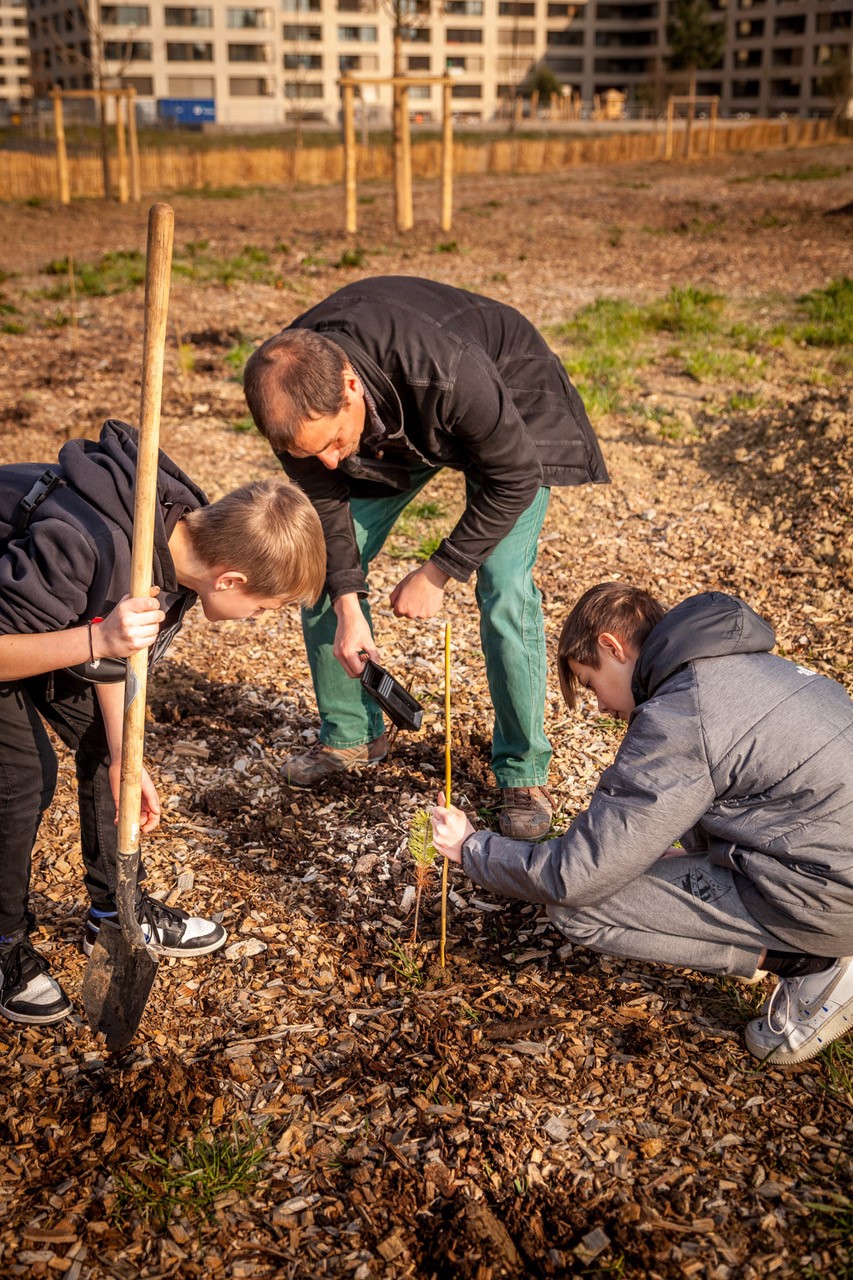 JACQUET SA - Parc forestier participatif Miyawaki - Quartier Belle-Terre - Thônex - 2022