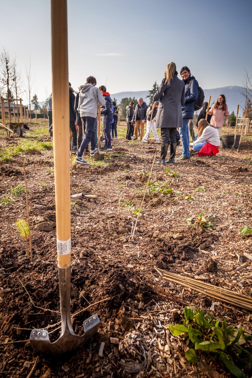 JACQUET SA - Parc forestier participatif Miyawaki - Quartier Belle-Terre - Thônex - 2022