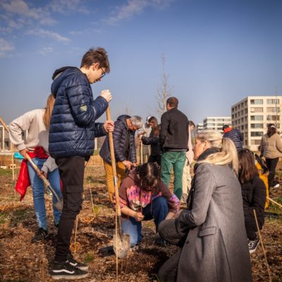 JACQUET SA - Parc forestier participatif Miyawaki - Quartier Belle-Terre - Thônex - 2022
