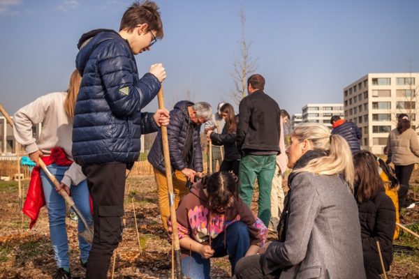 JACQUET SA - Parc forestier participatif Miyawaki - Quartier Belle-Terre - Thônex - 2022