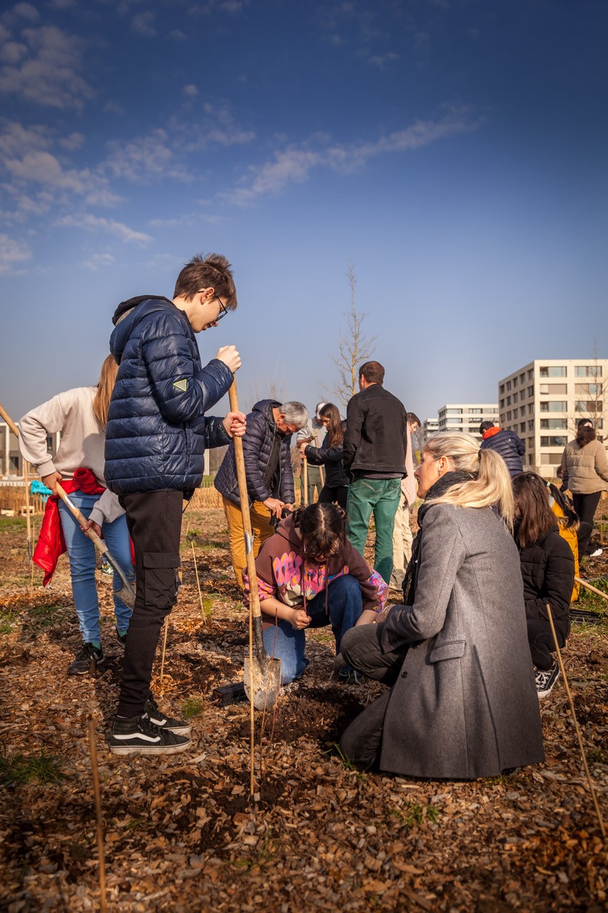 JACQUET SA - Parc forestier participatif Miyawaki - Quartier Belle-Terre - Thônex - 2022