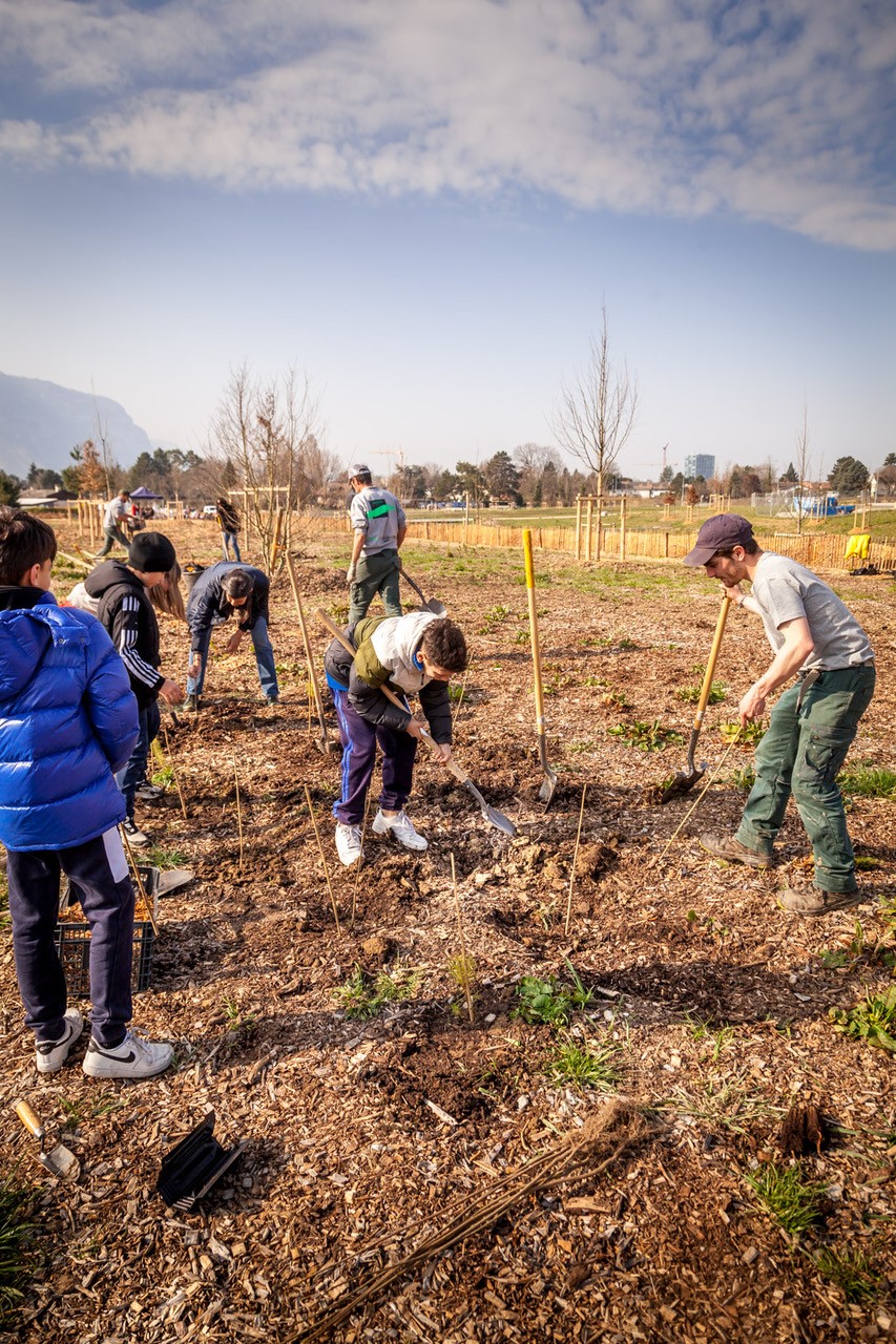 JACQUET SA - Parc forestier participatif Miyawaki - Quartier Belle-Terre - Thônex - 2022