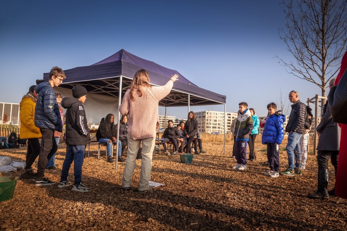 JACQUET SA - Parc forestier participatif Miyawaki - Quartier Belle-Terre - Thônex - 2022