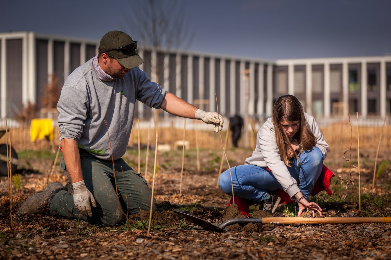 JACQUET SA - Parc forestier participatif Miyawaki - Quartier Belle-Terre - Thônex - 2022