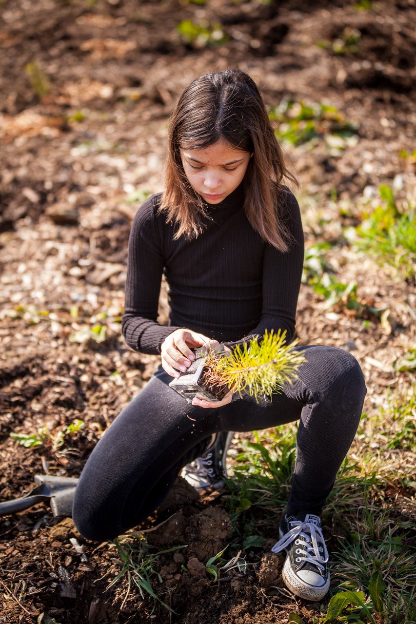 JACQUET SA - Parc forestier participatif Miyawaki - Quartier Belle-Terre - Thônex - 2022