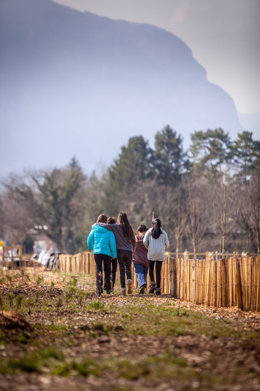 JACQUET SA - Parc forestier participatif Miyawaki - Quartier Belle-Terre - Thônex - 2022