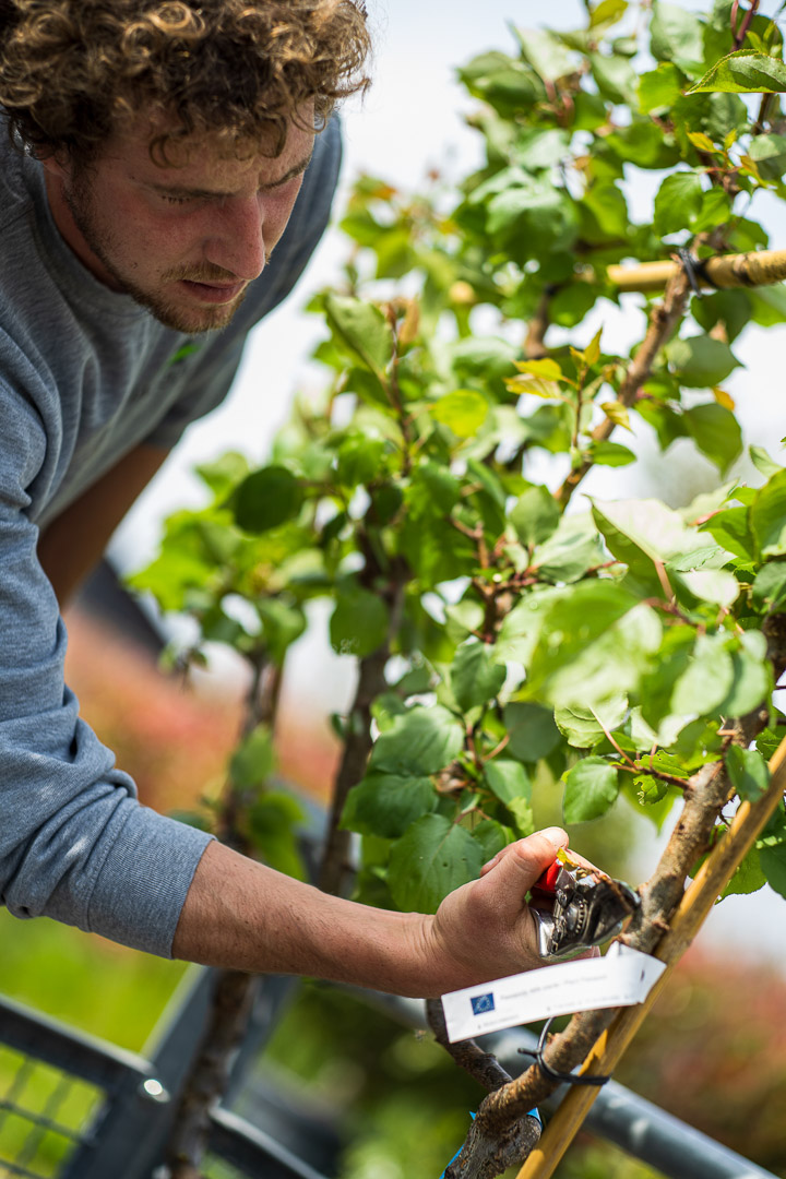 LA PEPINIERE Jacquet - Journées des Plantes - Printemps 2022