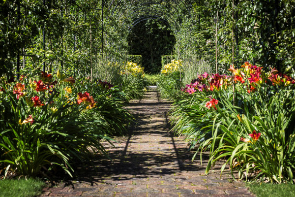 Jacquet Newsletter Edition 1 - 2022