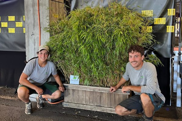 JACQUET SA - Transforme festival