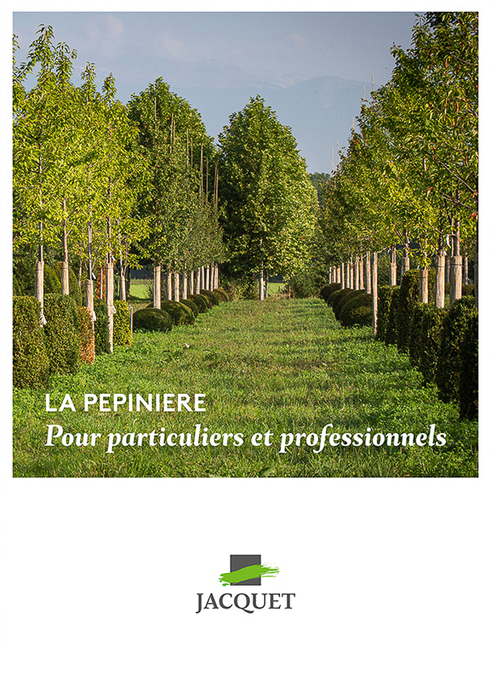 Jacquet SA - LA PEPINIERE - Couverture