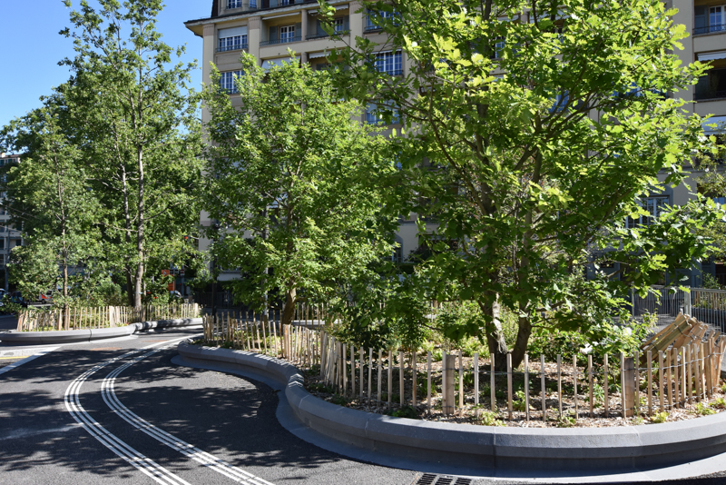 Jacquet SA - Gare CEVA Champel