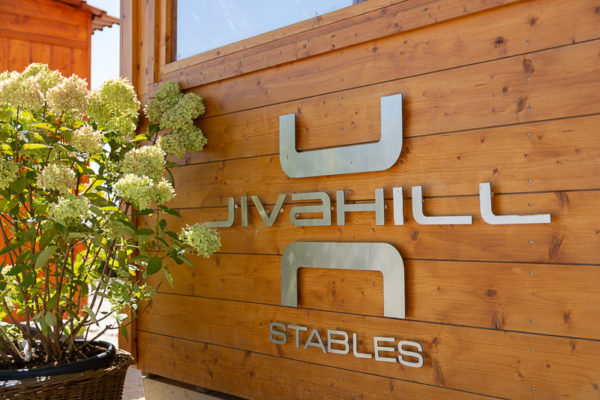 Jacquet - Jiva Hill Stables - Crozet 2022 - Copyright Mathilde Fery